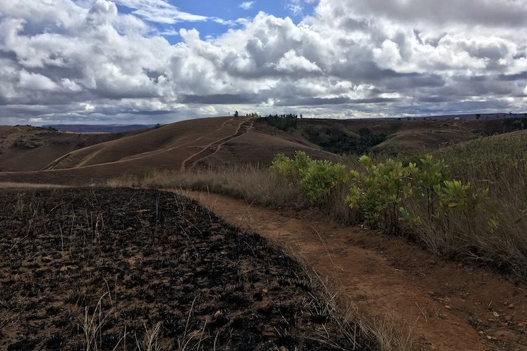 Manao Aro Afo 14 Mailo (~22,4Km) Manodidina Ny Faritra Arovana Ny Mponina Eo An Toerana Isan Taona, Ka Misy Ampahany Iniana Dorana Mba Ho Madio Tsara Tsy Misy Zava Maniry Manodidina Ny Faritra Arovana Ary Kirihitra Maitso Tsy Mora Mirehitra No Ambolena Eo Anilan’izany Ampahany Nodiovina Tamin’ny Afo Izany. Sary Nalain’i Rowan Moore Gerety Ho An’ny Mongabay.
