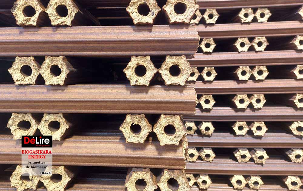 Briquettes de biomasse 