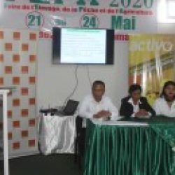 FEPA 2020: Mampiomana sahady ireo tanora te hisehatra amin’ny tontolo ambanivohitra