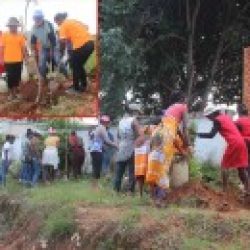 BEN’NY TANANAN’I BONGATSARA : « Sady haingon’ny lalam-pirenena  no miaro ny fiovan’ny toetry ny andro ny hazo nambolena »