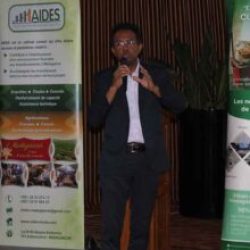 FANDRAHOANA SAKAFO AMIN’NY HERINARATRA : ezaka vaovao hampihenana ny fiankinan-doha amin’ny kitay sy saribao