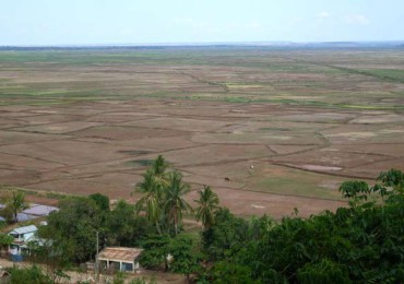 Madagascar Marovoay rice