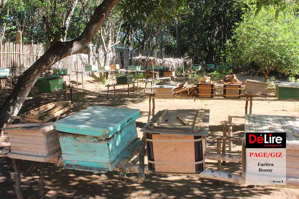 PAGE-GIZ - faritra boeny 3