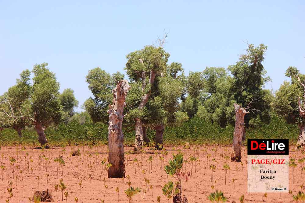 PAGE-GIZ - faritra boeny 4