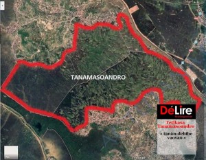 tanamasoandro
