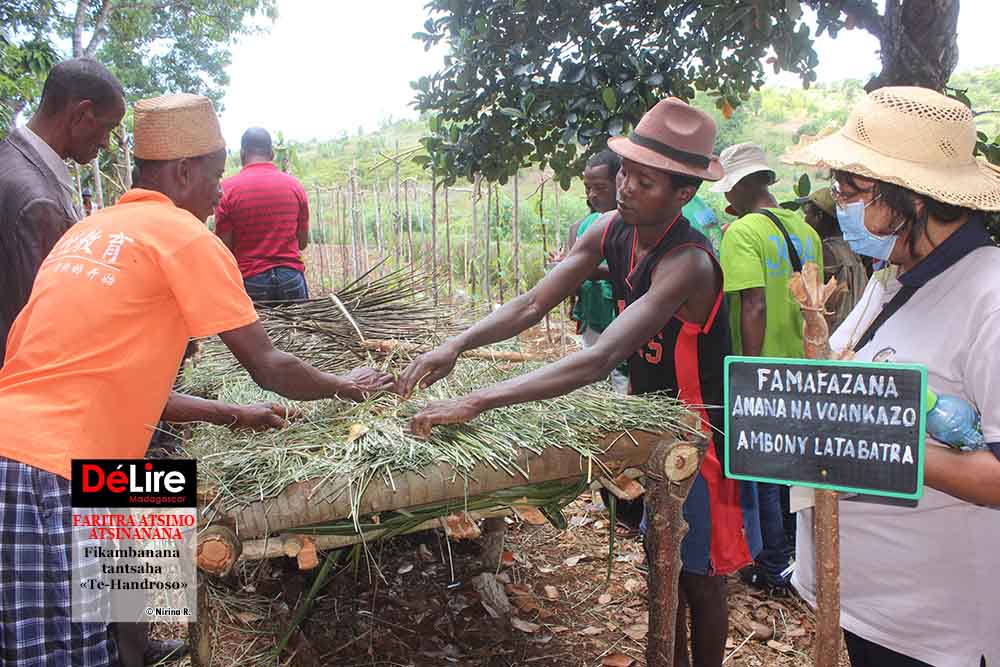 FARITRA ATSIMO ATSINANANA 2