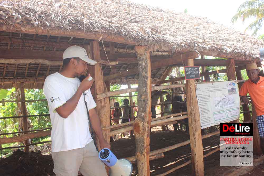 FARITRA ATSIMO ATSINANANA 3