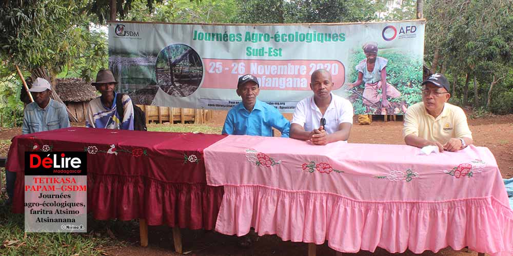 TETIKASA PAPAM - GSDM 2